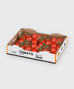 Food Service Tomato Vine Ripe